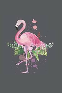 Colorful Flamingo