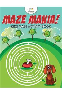 Maze Mania! Kids Maze Activity Book