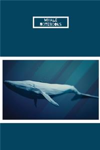 Whale notebooks