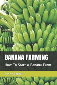 Banana Farming