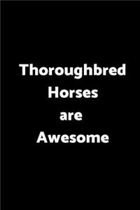 Thoroughbred Horses Are Awesome