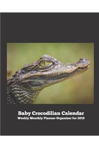Baby Crocodilian Calendar Weekly Monthly Planner Organizer for 2019