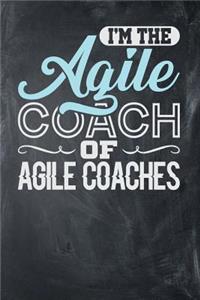 I'm the Agile Coach of Agile Coaches