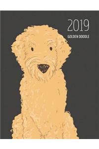 2019 Golden Doodle