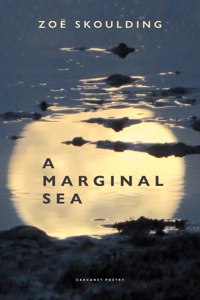 Marginal Sea