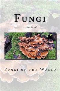 Fungi