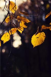 Golden Fall Leaves: 150 page lined 6 x 9 notebook/diary/journal