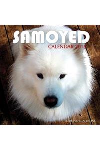 Samoyed Calendar 2018