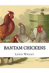 Bantam Chickens