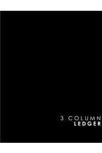 3 Column Ledger