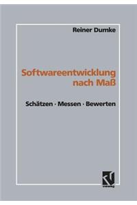 Softwareentwicklung Nach Maß