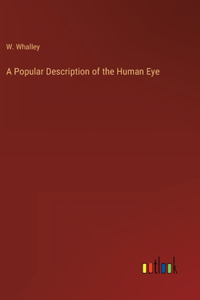 Popular Description of the Human Eye