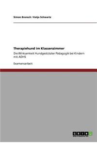 Therapiehund im Klassenzimmer