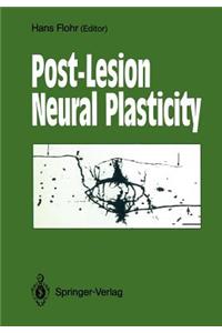 Post-Lesion Neural Plasticity