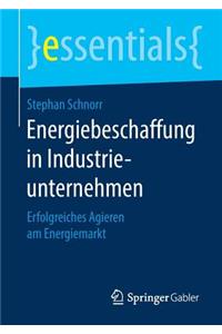 Energiebeschaffung in Industrieunternehmen