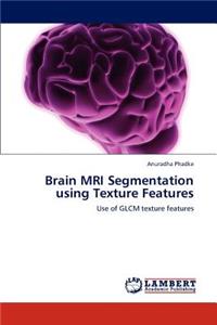 Brain MRI Segmentation using Texture Features