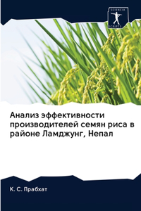 &#1040;&#1085;&#1072;&#1083;&#1080;&#1079; &#1101;&#1092;&#1092;&#1077;&#1082;&#1090;&#1080;&#1074;&#1085;&#1086;&#1089;&#1090;&#1080; &#1087;&#1088;&#1086;&#1080;&#1079;&#1074;&#1086;&#1076;&#1080;&#1090;&#1077;&#1083;&#1077;&#1081; &#1089;&#1077;