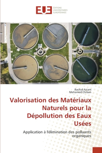 Valorisation des Matériaux Naturels pour la Dépollution des Eaux Usées