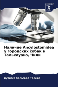 Наличие Ancylostomidea у городских собак в Талькауано, 