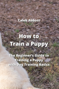 How to Train a Puppy