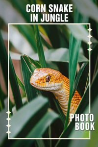 Corn Snake In Jungle Photo Book