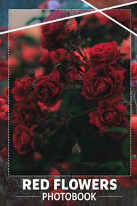 Red Flowers Photo Book