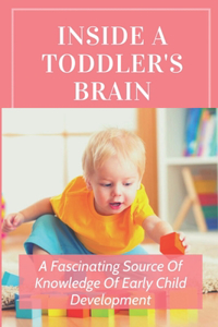 Inside A Toddler's Brain