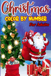 Christmas Color By Number For Adults