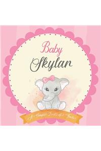 Baby Skylar A Simple Book of Firsts