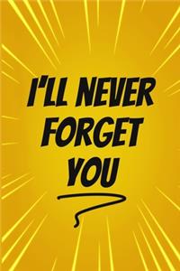 I'll never Forget You