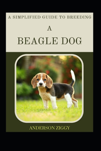 Simplified Guide To Breeding A Beagle Dog