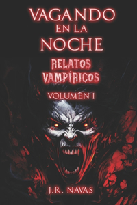 Vagando en la Noche