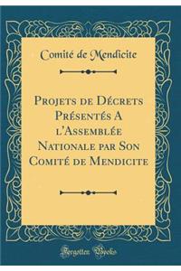 Projets de DÃ©crets PrÃ©sentÃ©s a l'AssemblÃ©e Nationale Par Son ComitÃ© de Mendicite (Classic Reprint)