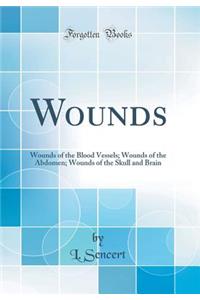 Wounds: Wounds of the Blood Vessels; Wounds of the Abdomen; Wounds of the Skull and Brain (Classic Reprint)