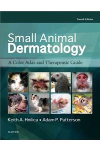 Small Animal Dermatology