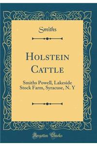 Holstein Cattle