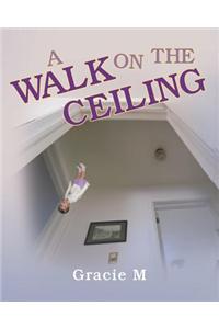A Walk on the Ceiling