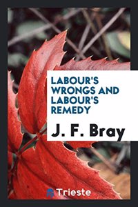 Labour's Wrongs and Labour's Remedy