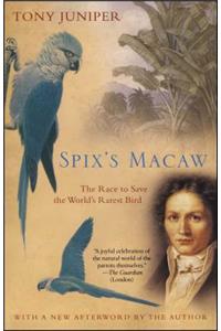 Spix's Macaw