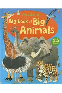 The Usborne Big Book of Big Animals