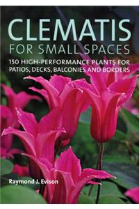 Clematis for Small Spaces