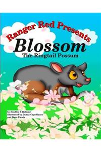 Ranger Red Presents