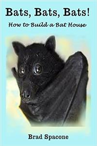Bats, Bats, Bats!: How to Build a Bat House