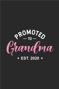 Promoted To Grandma Est. 2020