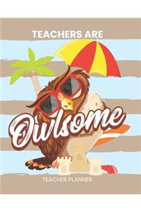 Teacher Planner Teachers Are Owlsome