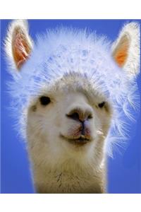 LLAMA Composition Notebook