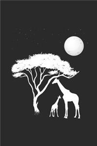 Giraffe Tree