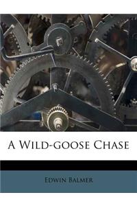 Wild-Goose Chase