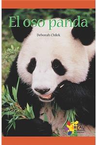 Oso Panda