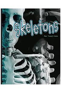 Rigby Focus Forward: (Group 1, Set B) Skeletons
